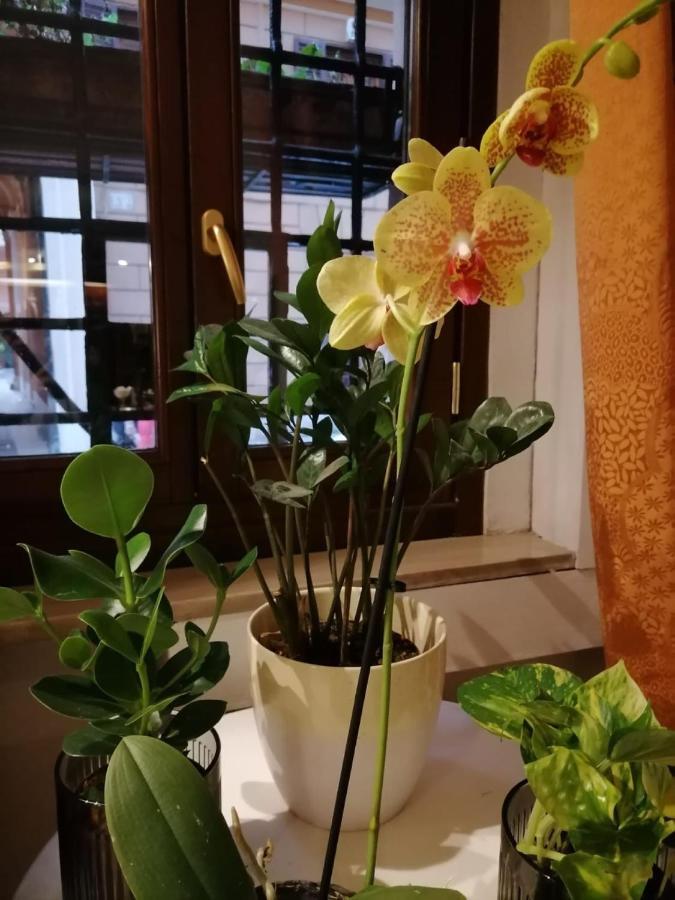 Hotel Julia Ρώμη Εξωτερικό φωτογραφία